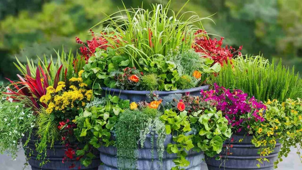 container gardening plants