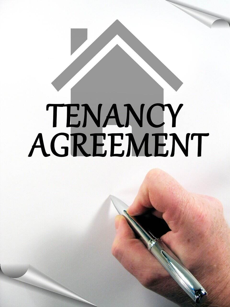 What is Involved in the Tenant Screening Process